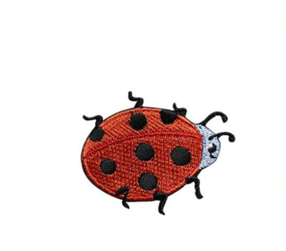 Lady Bug