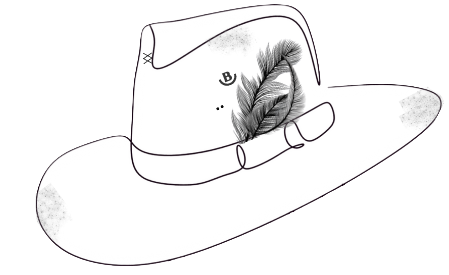 Brim Trim logo