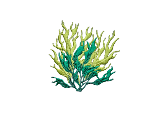 Seaweed