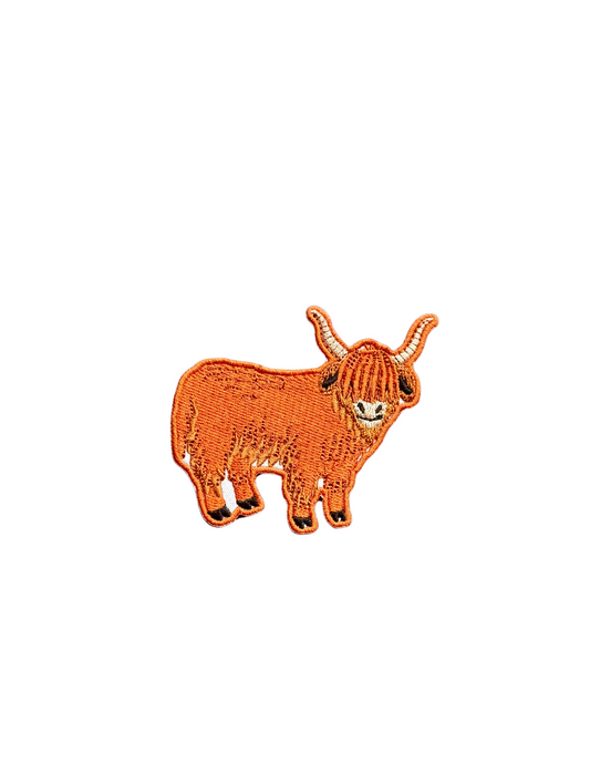 Highland Cow