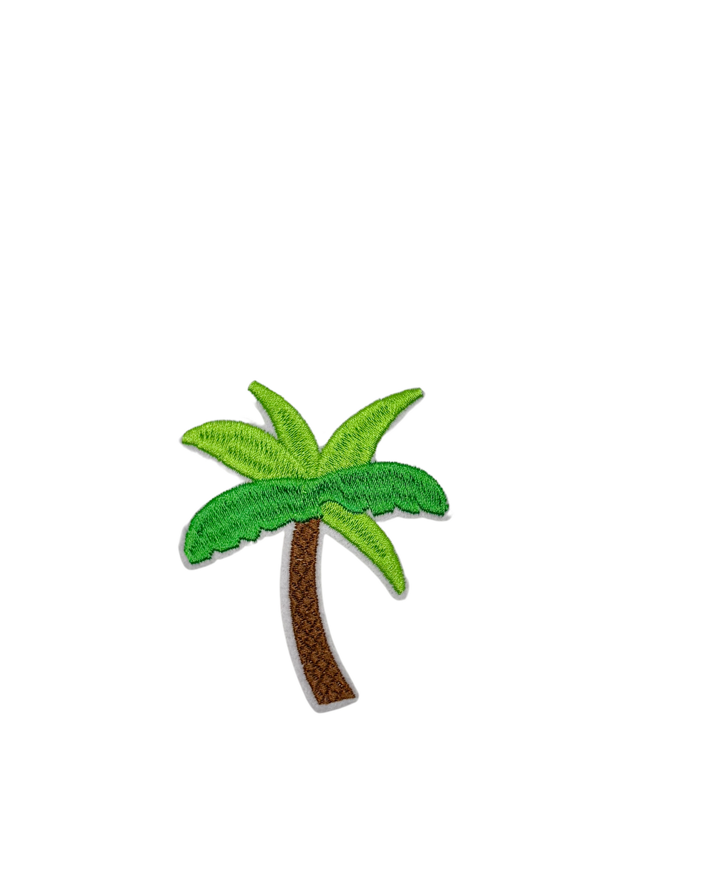 palm trees