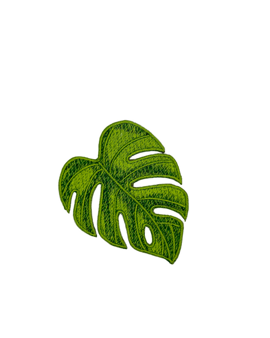 Monstera Leaf