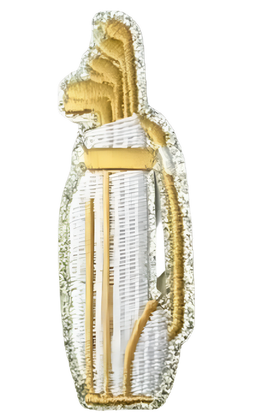 Golf Bag