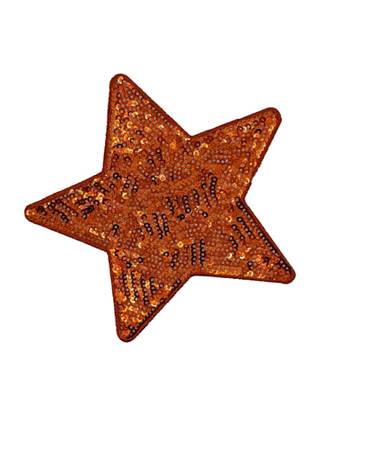 5” sequin stars