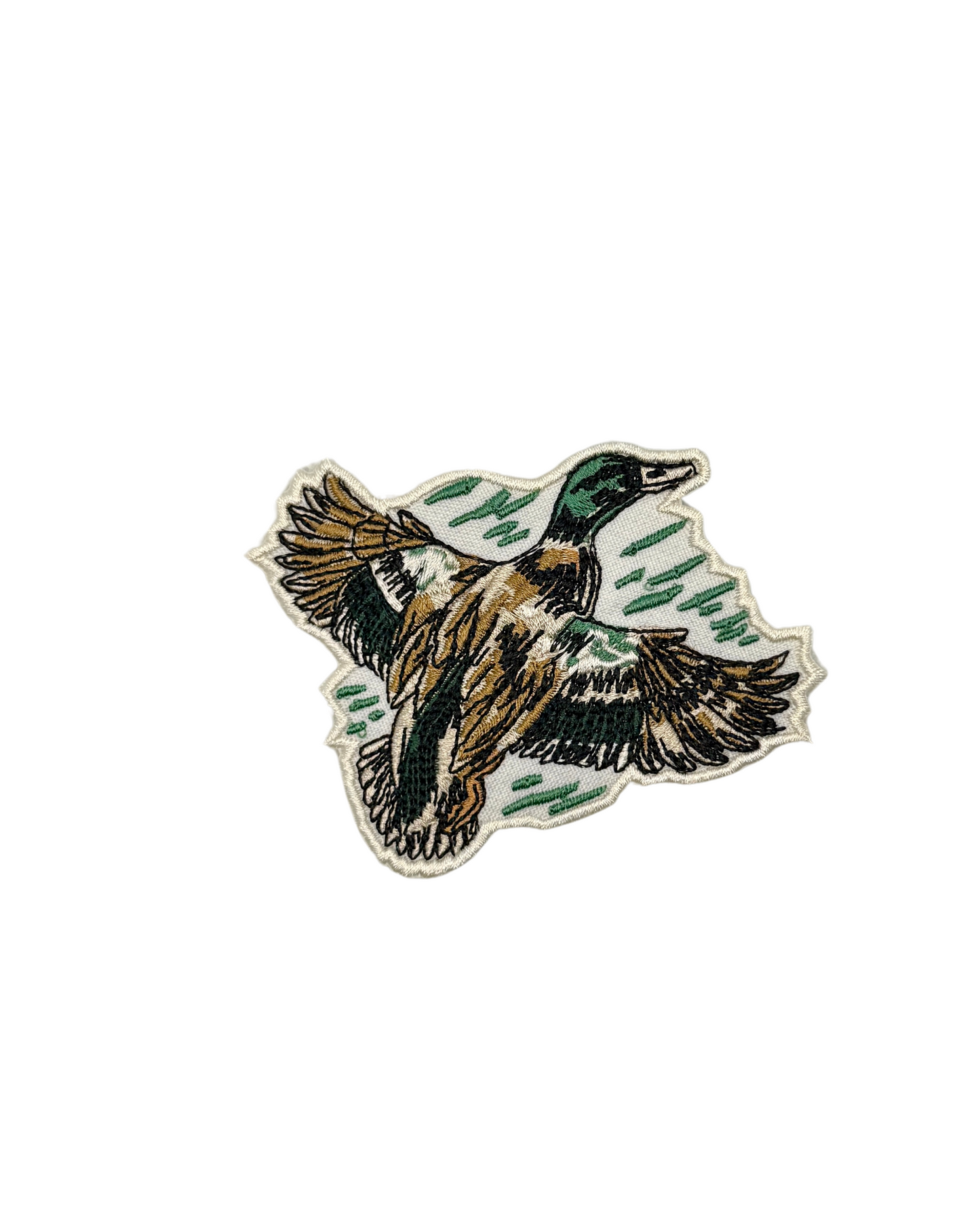 Mallard Duck