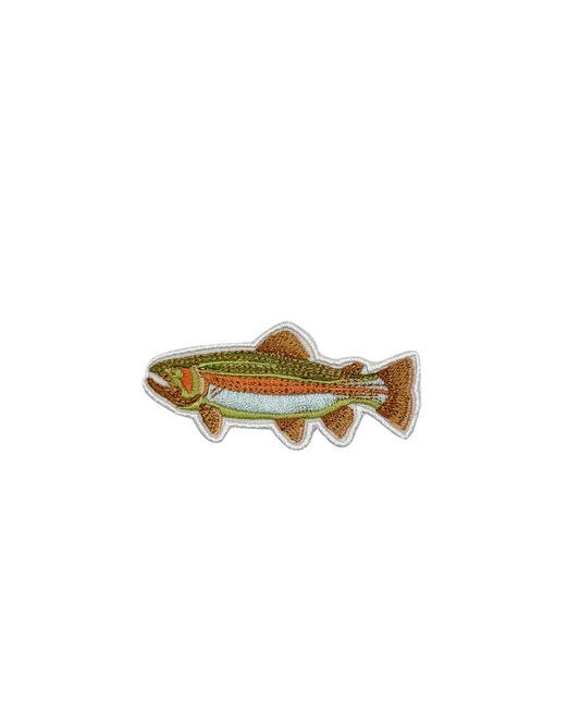 trout fish