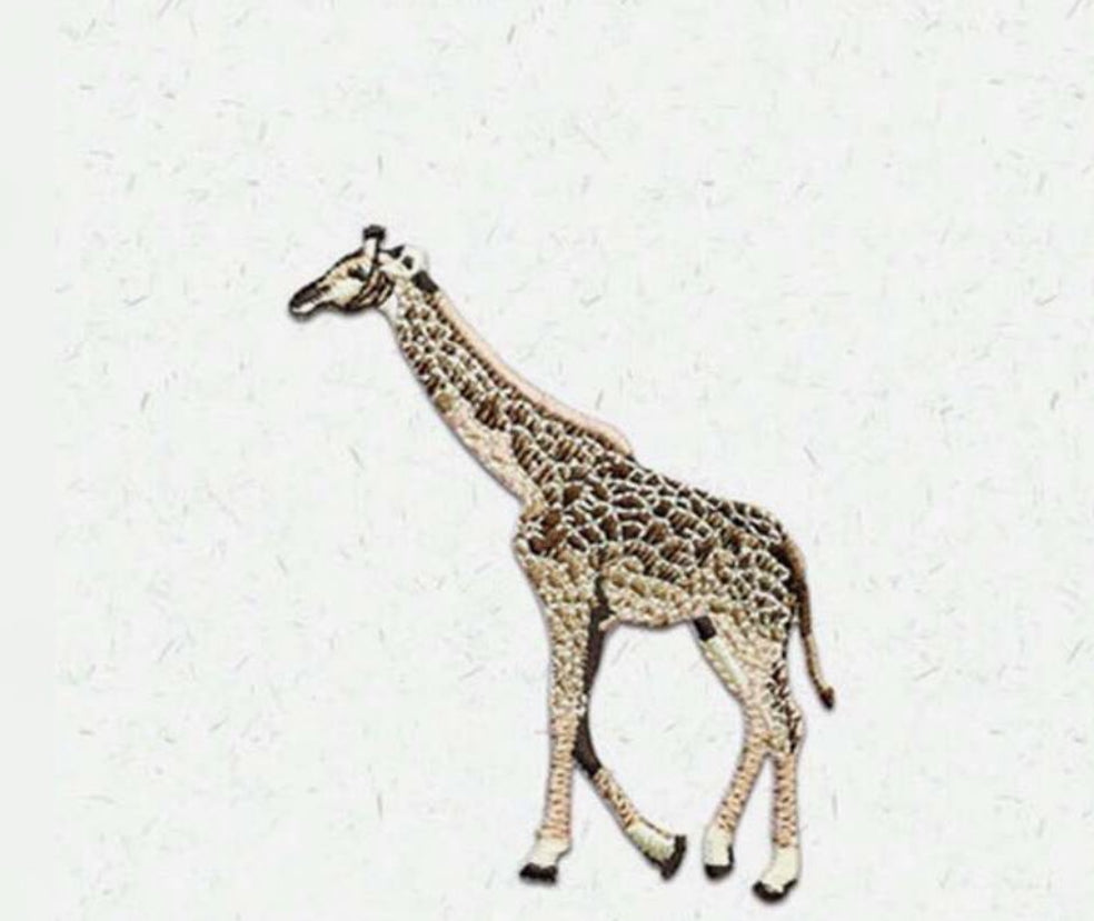 giraffe