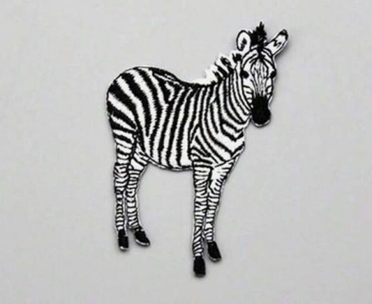 Zebra